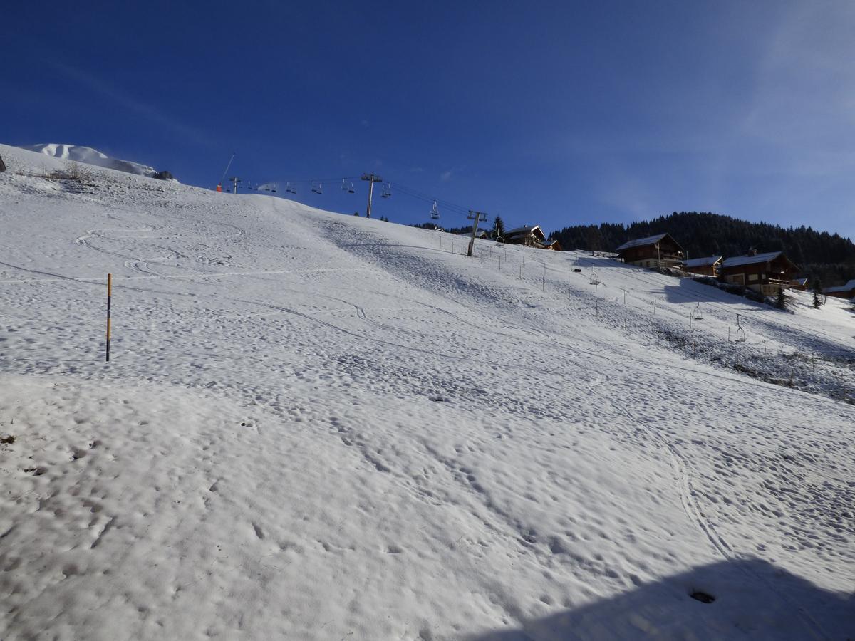 Hotel Les Flocons Le Grand-Bornand Εξωτερικό φωτογραφία